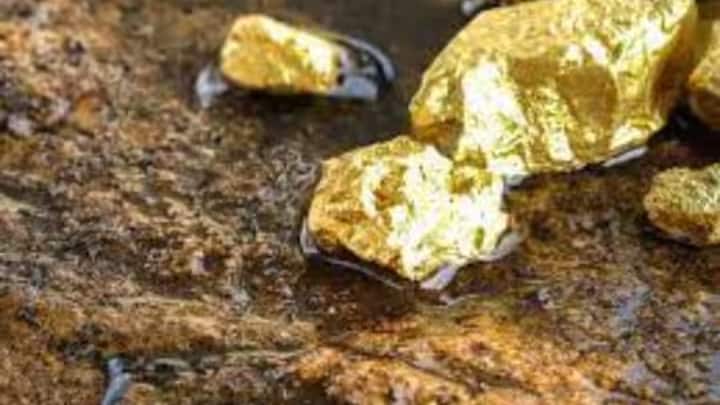 राजस्थान के कुल संसाधनों में से 24% सोना है जो अलवर, बांसवारा, दौसा, ढुंगरपुर, सिरोही, उदयपुर जिलों में है.