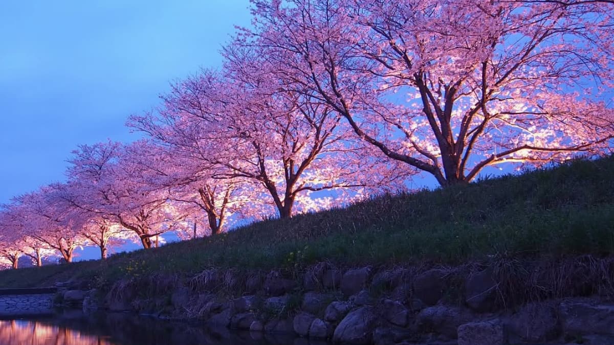 (Image Source: Instagram/@curly.tales)