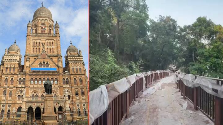 रविवारी याचे उद्घाटन होणार असून नागरिकांसाठी हा मार्ग खुला होणार आहे. येथे वॉक करत असताना नागरिकांना विविध गाणी, रंगीत लाइटिंग आणि निसर्गाचा अनुभव घेता येणार आहे.