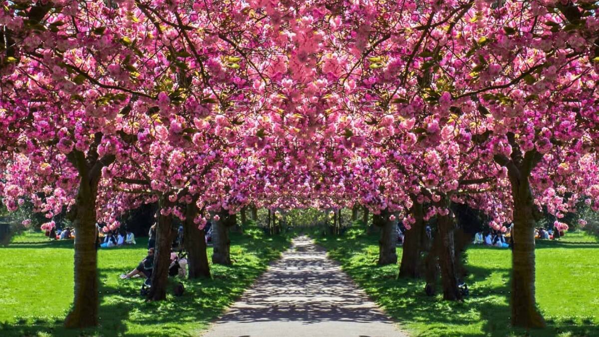 (Image Source: Instagram/@curly.tales)