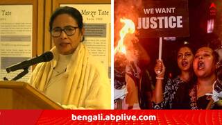 Mamata Banerjee: লন্ডনে গিয়ে SFI-র প্রশ্নের মুখে মুখ্যমন্ত্রী, 'অক্সফোর্ডে মিথ্যাভাষণ দেবেন..' !