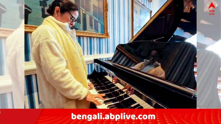 Mamata Banerjee London University of Oxford Speech Controversy TMC Kunal Ghosh Sougata Roy Debangshu attacks BJP SFI CPM RG kar Case Mamata Banerjee:'অক্সফোর্ডে গিয়ে দিদিকে থামাতে চাইছে ওরা, জ্বলে ওঠো দিদি, তুমি বাংলার আগুন..' ! পাল্টা কুণাল-সৌগতরা