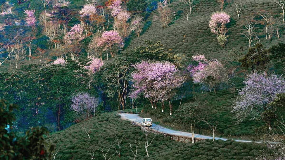 (Image Source: Instagram/@prabin.pp)