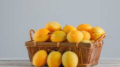 Carbide Test for Mangoes: গাছপাকা না কার্বাইডে পাকানো? আম চিনুন এই উপায়ে…