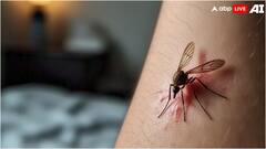 क्या खून के अलावा और कुछ भी खाते-पीते हैं मच्छर? जान लीजिए जवाब