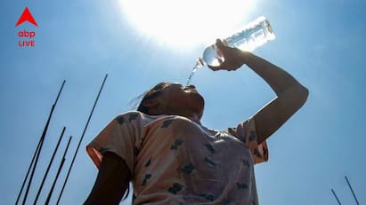 Weather Update Weather Forecast hot weather condition in south part of west bengal hot day warning temperature will increase again Hot Weather Condition: গরম কমার কোনও লক্ষণই নেই আগামী কয়েকদিনে, জ্বালা ধরাবে তাপমাত্রা, চড়বে পারদ, আরও বাড়বে উষ্ণতা