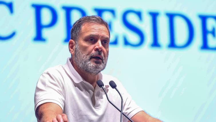 BJP Govt's 'Cronyism' Caused Banking Sector Crisis, Led To Exploitation Of Junior Employees: Rahul Gandhi