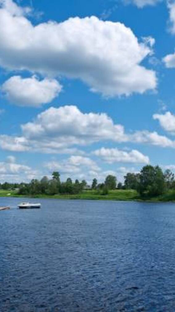 मध्य प्रदेश की सबसे लंबी नदी कौन-सी है