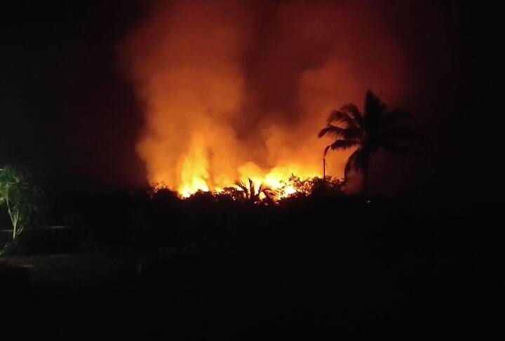 आंबा, काजू फळांच्या मोसमात सतत लागणाऱ्या वणव्यामुळं कोकणातील आंबा काजू बागायतदार हवालदिल झाले आहेत.