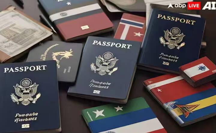 ਮੈਰੂਨ ਰੰਗ ਦਾ ਪਾਸਪੋਰਟ ਤਿੰਨਾਂ ਪਾਸਪੋਰਟਾਂ ਤੋਂ ਵੱਖਰਾ ਹੁੰਦਾ ਹੈ। ਇਹ ਪਾਸਪੋਰਟ ਸਿਰਫ਼ ਭਾਰਤੀ ਡਿਪਲੋਮੈਟਾਂ ਅਤੇ ਸੀਨੀਅਰ ਅਧਿਕਾਰੀਆਂ ਨੂੰ ਜਾਰੀ ਕੀਤਾ ਜਾਂਦਾ ਹੈ, ਤਾਂ ਜੋ ਉਹ ਵਿਦੇਸ਼ਾਂ ਵਿੱਚ ਉਪਲਬਧ ਸਹੂਲਤਾਂ ਦਾ ਆਸਾਨੀ ਨਾਲ ਲਾਭ ਉਠਾ ਸਕਣ। ਨਾਲ ਹੀ, ਇਮੀਗ੍ਰੇਸ਼ਨ ਵੀ ਆਮ ਲੋਕਾਂ ਦੇ ਮੁਕਾਬਲੇ ਜ਼ਿਆਦਾ ਆਸਾਨੀ ਨਾਲ ਕੀਤਾ ਜਾਂਦਾ ਹੈ।