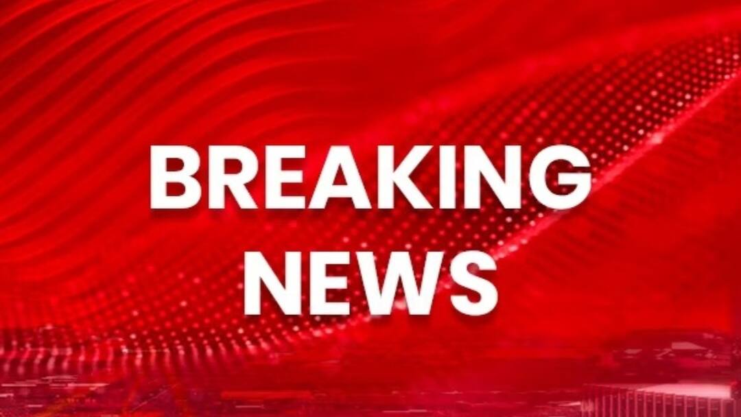 South 24 Pargana Maipith Local Woman Agitated Illegal Liquor Selling alleged scuffle against Police South 24 Pargana News : মুদির দোকানে মদবিক্রি ! পুলিশ পৌছতেই লাঠি হাতে এগিয়ে এলেন মহিলা, উর্দি ধরে টানাটানি