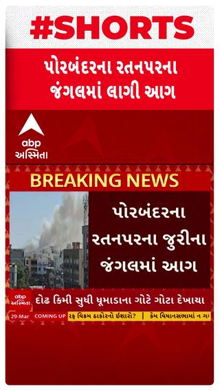 Porbandar Forest Fire : પોરબંદરમાં જુરીના જંગલમાં ફાટી નીકળી આગ