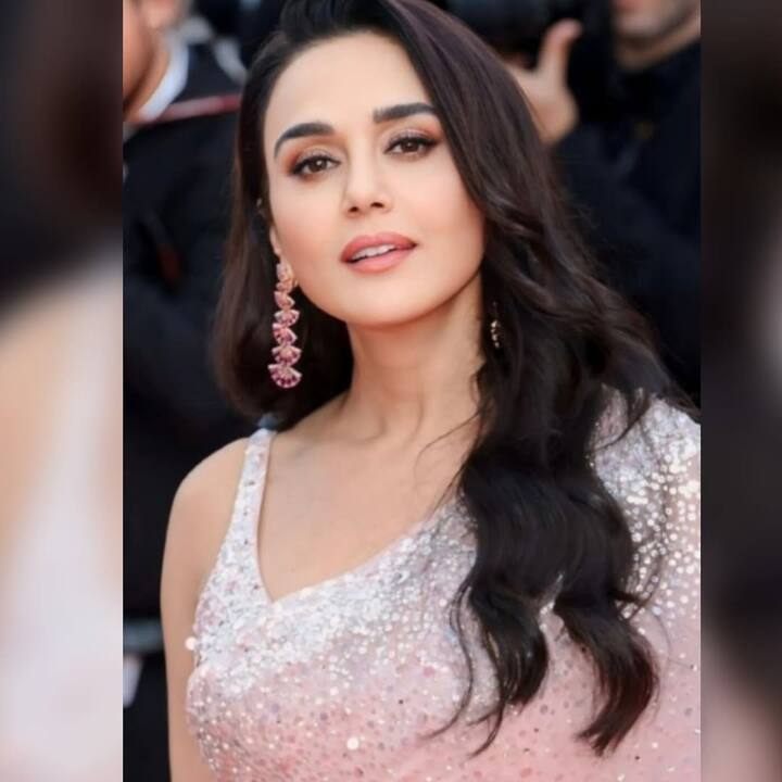 31 मार्च 2013 रोजी तिचे कर्ज खाते वेळेवर न भरल्याने अ श्रेणीत वर्गीकृत करण्यात आले. त्यावेळी ही रक्कम 11.47 कोटी रुपये होती.