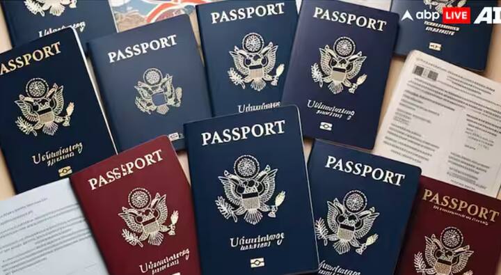 ਭਾਰਤ ਵਿੱਚ ਤਿੰਨ ਤਰ੍ਹਾਂ ਦੇ ਪਾਸਪੋਰਟ ਵਰਤੇ ਜਾਂਦੇ ਹਨ। ਇਸ ਵਿੱਚ ਨੀਲੇ ਰੰਗ ਦਾ ਪਾਸਪੋਰਟ, ਚਿੱਟੇ ਰੰਗ ਦਾ ਪਾਸਪੋਰਟ ਅਤੇ ਮੈਰੂਨ ਰੰਗ ਦਾ ਪਾਸਪੋਰਟ ਹੈ। ਤਿੰਨੋਂ ਤਰ੍ਹਾਂ ਦੇ ਪਾਸਪੋਰਟਾਂ ਦੇ ਵੱਖੋ-ਵੱਖਰੇ ਅਰਥ ਹਨ।