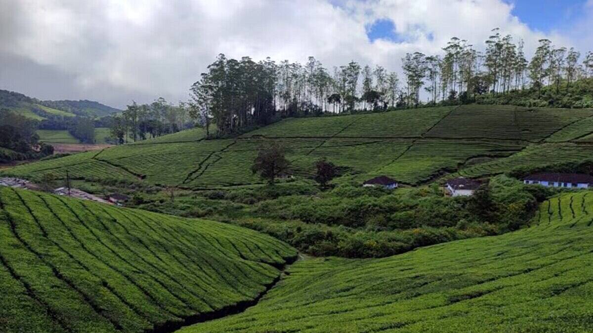 Megamalai: இரவில் கடும் குளிர், பகலில் சுட்டெரிக்கும் வெயில்; வீடுகளிலையே முடங்கியிருக்கும் மக்கள்