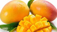 Carbide Test for Mangoes: গাছপাকা না কার্বাইডে পাকানো? আম চিনুন এই উপায়ে…