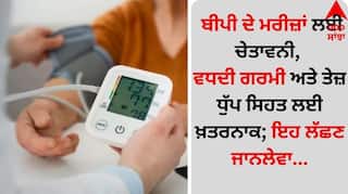 Blood Pressure: ਬੀਪੀ ਦੇ ਮਰੀਜ਼ਾਂ ਲਈ ਚੇਤਾਵਨੀ, ਵਧਦੀ ਗਰਮੀ ਅਤੇ ਤੇਜ਼ ਧੁੱਪ ਸਿਹਤ ਲਈ ਖ਼ਤਰਨਾਕ; ਇਹ ਲੱਛਣ ਜਾਨਲੇਵਾ...