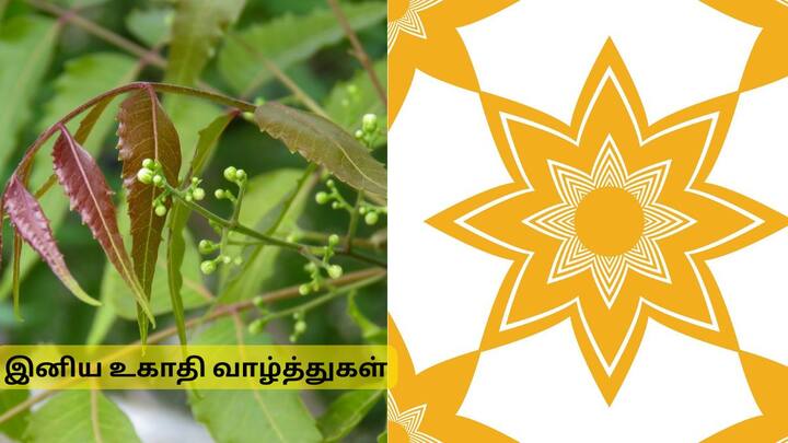 குடும்பத்தினருடன் மகிழ்ச்சியான நாட்கள் அமையட்டும். இனிய உகாதி வாழ்த்துகள்!