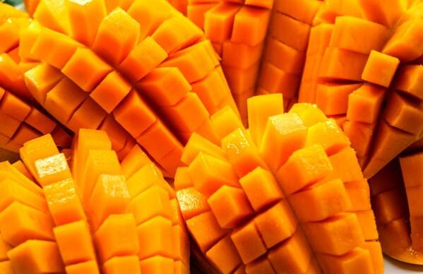 Mango Eating Benefits In Hindi: કેટલાક લોકો ઉનાળાની રાહ જોતા હોય છે જેથી તેઓ કેરી ખાઈ શકે. કેરી ખાવાના શોખીનોને આ સિઝન ગમે છે. કારણ કે આ સિઝનમાં તાજી કેરી ખાવાનો આનંદ જ અલગ હોય છે. જો તમે પણ કેરી ખાવાના શોખીન છો તો આ લેખ તમારા માટે છે. કેરી માત્ર સ્વાદમાં જ નહીં પણ સ્વાસ્થ્યની દ્રષ્ટિએ પણ ખૂબ જ સારી માનવામાં આવે છે.