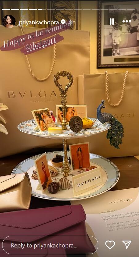 Priyanka Chopra Jaipur Trip: जयपुर ट्रिप पर समोसे का मजा ले रहीं प्रियंका चोपड़ा, बनाया नया दोस्त, Inside Pics