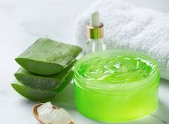 ਸਰੀਰ ਨੂੰ ਕਿੰਨੇ ਫਾਇਦੇ ਦਿੰਦਾ ਹੈ ਐਲੋਵੇਰਾ ? ਜੇ ਤੁਸੀਂ ਜਾਣ ਗਏ ਤਾਂ ਰੋਜ਼ਾਨਾ ਵਰਤੋਗੇ