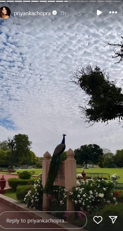 Priyanka Chopra Jaipur Trip: जयपुर ट्रिप पर समोसे का मजा ले रहीं प्रियंका चोपड़ा, बनाया नया दोस्त, Inside Pics