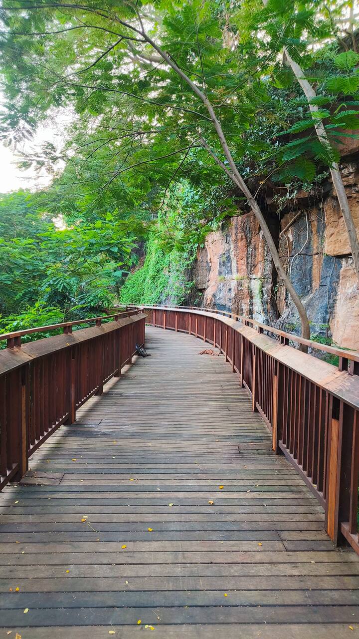 जानकारी के अनुसार, एलिवेटेड फॉरेस्ट वॉकवे का टिकट आम लोगों के लिए 25 रुपये और विदेशी पर्यटकों के लिए 100 रुपये है. इसका टिकट ऑनलाइन स्कैन कर या टिकट काउंटर से लिया जा सकता है.