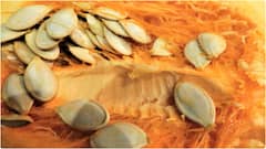 Best Seeds for Men : మగవారు ఈ సీడ్స్​ రెగ్యులర్​గా తింటే చాలా మంచిదట.. స్పెర్మ్ సమస్యలను దూరం చేసుకోవడానికి ఇవి బెస్ట్