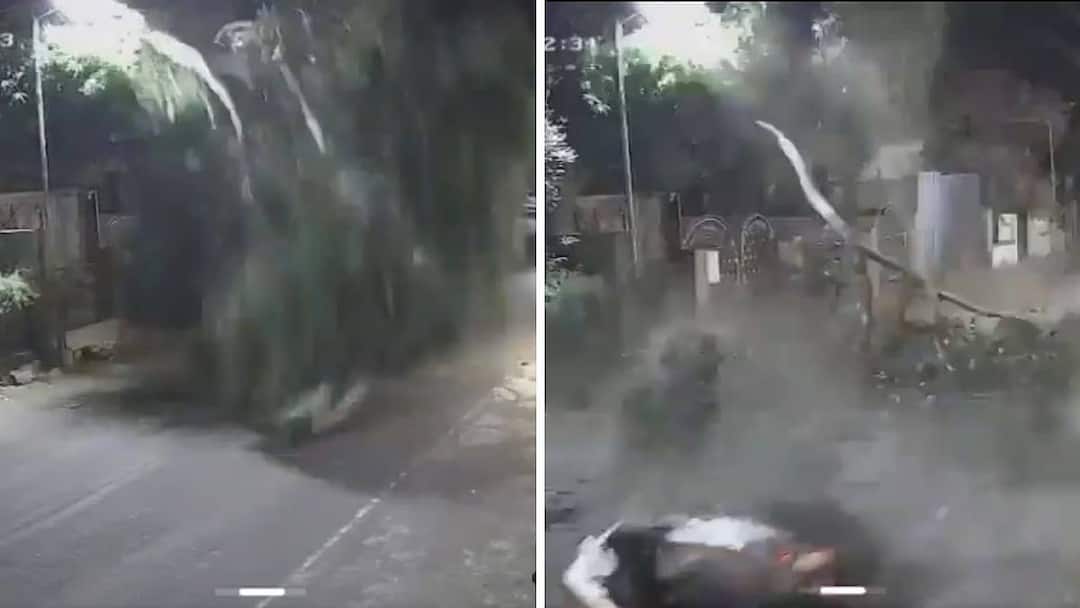 ஜஸ்ட் மிஸ்… டெலிவரி பாய்க்கு ஆய்சு கெட்டி! பதறவைக்கும் வீடியோ