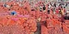 Onion Price: ડુંગળીના ભાવ ગગડતા ખેડૂતોને રાતા પાણીએ રડવાનો વારો, ખેડૂતો 200 રૂ. મણ ડુંગળી વેચવા મજબૂર