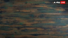 ये है दुनिया की सबसे महंगी लकड़ी, लाखों में मिलती है 1 किलो; जानें क्या है नाम?