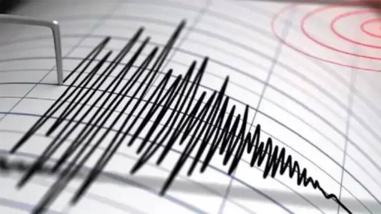 earthquake of magnitude 6.1 on Richter Scale jolted Tonga Islands a second earthquake in the same day म्यांमार और थाईलैंड के बाद अब इस देश में भयंकर भूकंप, 24 घंटे में दूसरी बार डोली धरती, जानें कैसे हैं हालात