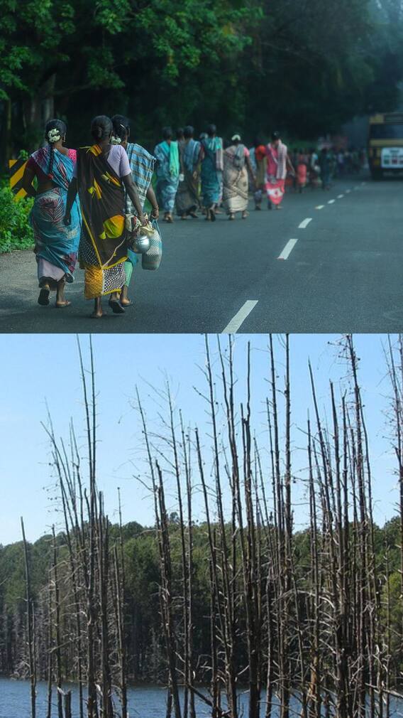 பட்ஜெட் ட்ரிப் டூ  கொடைக்கானல்!