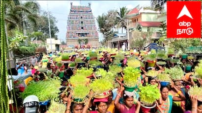 Mayiladuthurai valuvur veerateshwarar temple kumbabhishegam festival tnn 1500 ஆண்டுகள் பழமை வாய்ந்த வழுவூர் வீரட்டேஸ்வரர் ஆலய கும்பாபிஷேக விழா.. ஊர்வலத்துடன் வந்த யானைகள்