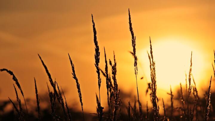গতকাল ইদে দক্ষিণবঙ্গের সব জেলাতেই ছিল হট ডে পরিস্থিতি। তবে আজ তাপমাত্রায় সামান্য ফারাক দেখা যেতে পারে তা আগাম জানিয়েছিল হাওয়া অফিস।