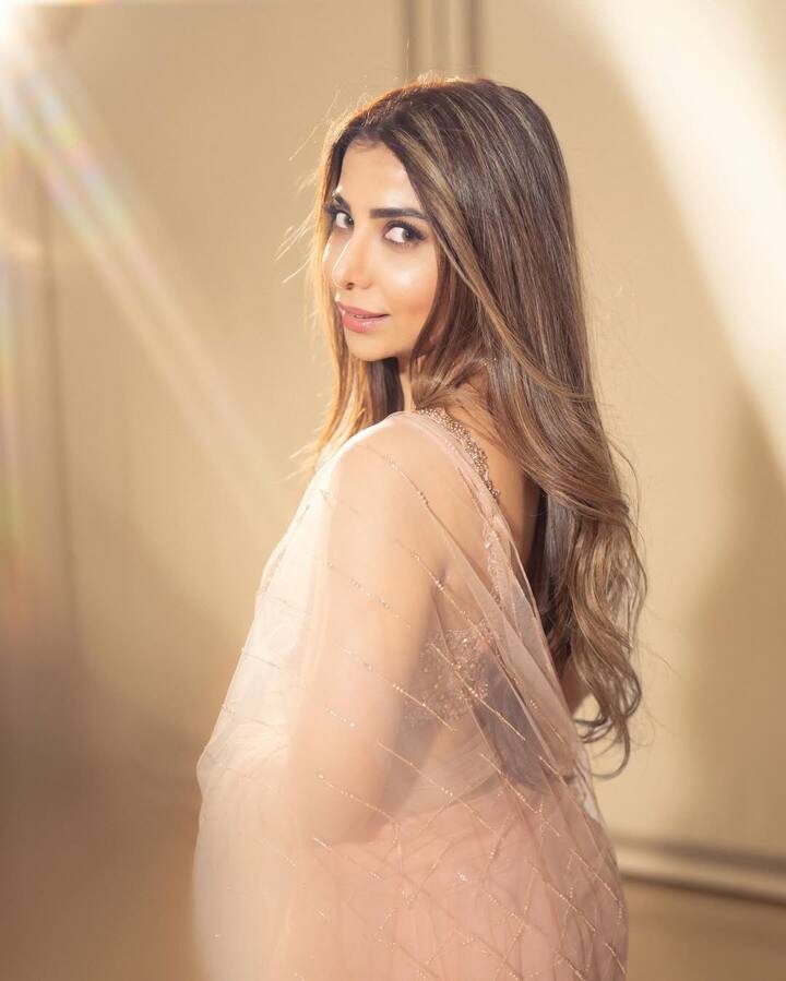 वहीं मलाइका से तालक के बाद एक्टर ने शूरा खान से शादी कर ली. आज ये कपल हैप्पी मैरिड लाइफ एंजॉय कर रहा है.