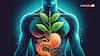 Can Plant Grow In Stomach: क्या किसी इंसान के पेट में भी उग सकता है कोई पेड़? ये रहा जवाब