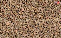 ਤੁਹਾਡਾ ਪੇਟ ਵੀ ਕਰਦਾ ਗੁੜਗੁੜ ਤਾਂ ਖਰਾਬ ਹੋ ਸਕਦਾ ਹਾਜਮਾ, ਇਨ੍ਹਾਂ 5 ਘਰੇਲੂ ਨੁਸਖਿਆਂ ਤੋਂ ਤੁਰੰਤ ਮਿਲੇਗਾ ਆਰਾਮ