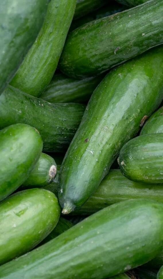 కీరదోసలను సమ్మర్​లో తింటే కలిగే లాభాలివే