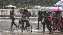 IMD weather Forecast: राज्यभर अवकाळी पावसाचे ऑरेंज - यलो अलर्ट,  प्रचंड आर्द्रता वाढली, पुढील 3 दिवस हवामान कसे? Photos