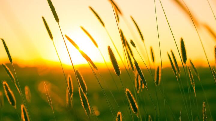 আইএমডি সূত্রে খবর, দেশের একাধিক রাজ্যে তাপপ্রবাহ বয়ে যাবে। এপ্রিল থেকে জুন মাসে এবার স্বাভাবিকের থেকে বেশি গরম থাকবে বলেই খবর।