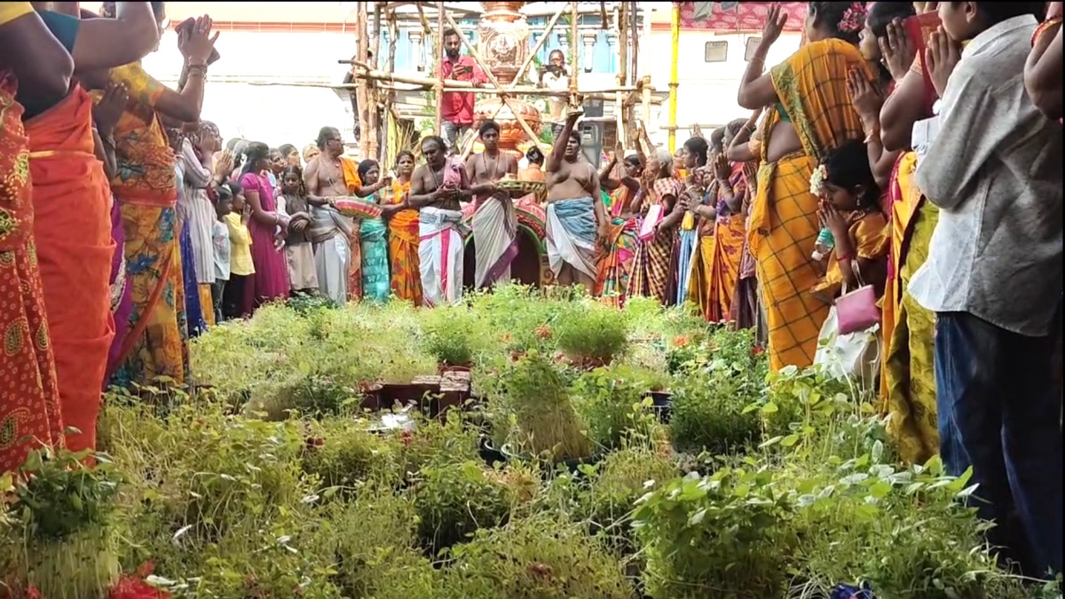 1500 ஆண்டுகள் பழமை வாய்ந்த வழுவூர் வீரட்டேஸ்வரர் ஆலய கும்பாபிஷேக விழா.. ஊர்வலத்துடன் வந்த யானைகள்