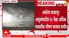 Akola : अकोल्याच्या बाळापूरात क्षारयुक्त पाणी प्यावं लागत असल्यानं शेकडो ग्रामस्थांना किडनीचे आजार