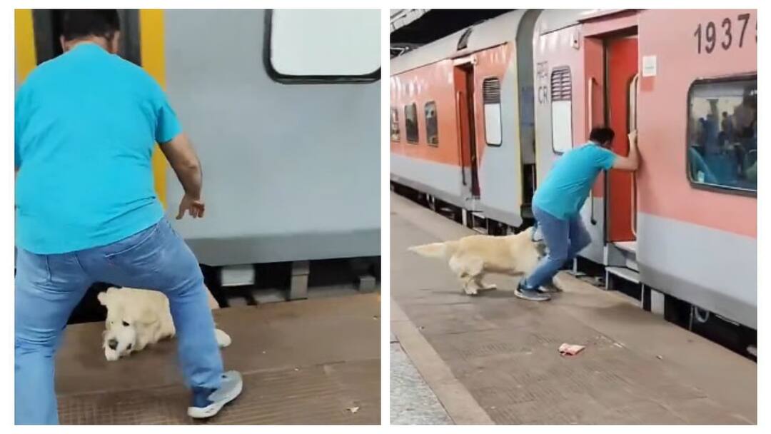 ஓடும் ரயிலில் நாயுடன் ஏற முயன்ற நபர்.. வீலில் சிக்கி துடிதுடித்த செல்லப்பிராணி.. ஷாக் வீடியோ