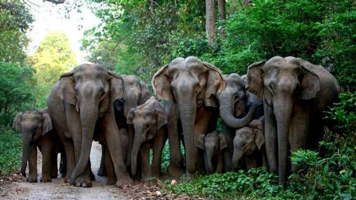 (Image Source: Pinterest/holidaysat)