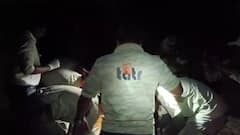 पायाला दुखापत, वाचविण्यासाठी सर्वांची धावपळ, पण अखेर वाघिणीने जीव सोडला; डॉक्टरांचेही डोळे पाणावले