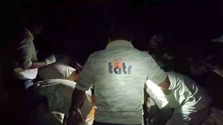 यवतमाळ जिल्ह्यातील मुकुटबन वनपरिक्षेत्रातील भेंडाळा नियतक्षेत्र सावळी रोपवनामध्ये वाघिणीच्या मागच्या पायाला दुखापत झाल्याचे मंगळवारी आढळून आले होते.