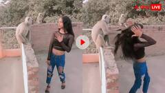 लंगूर को पसंद नहीं आया दीदी का डांस! रील बना रही लड़की के खींच लिए बाल, वायरल हुआ वीडियो