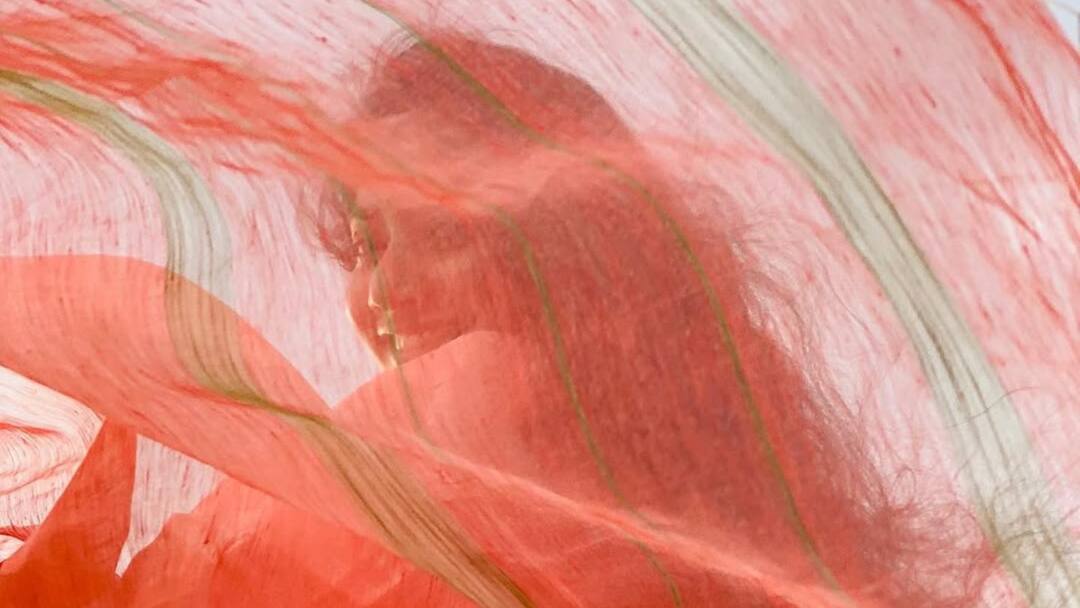 Why Sai Pallavi only ware sharee in every occasion Entertainment News Bollywood Bollywood Actress: কখনও পরেন না খোলামেলা পোশাক! জনপ্রিয়তায় আলিয়া, রশ্মিকাকে টেক্কা দেবেন এই নায়িকা!