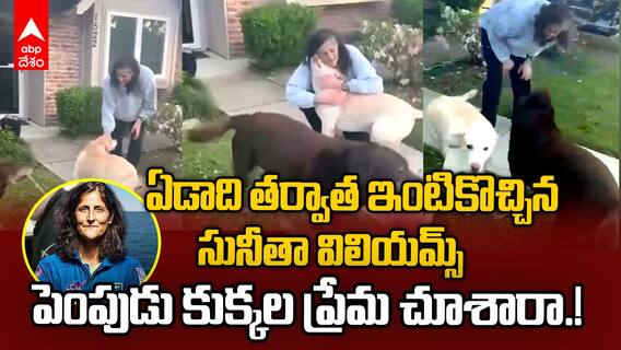 Sunita Williams Best Home Coming | నాసాలో చికిత్స తర్వాత ఇంటికి వచ్చిన సునీతా విలియమ్స్ | ABP Desam